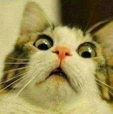 peso extra de bagagem