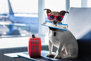 Top 5 lugares baratos para viajar fora do&nbsp;Brasil