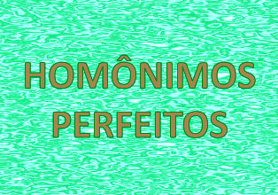 Homônimos Perfeitos. O que são&nbsp;eles?
