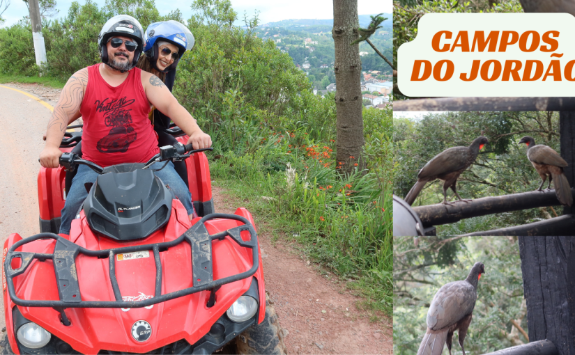 Vale a pena viajar para Campos do&nbsp;Jordão?